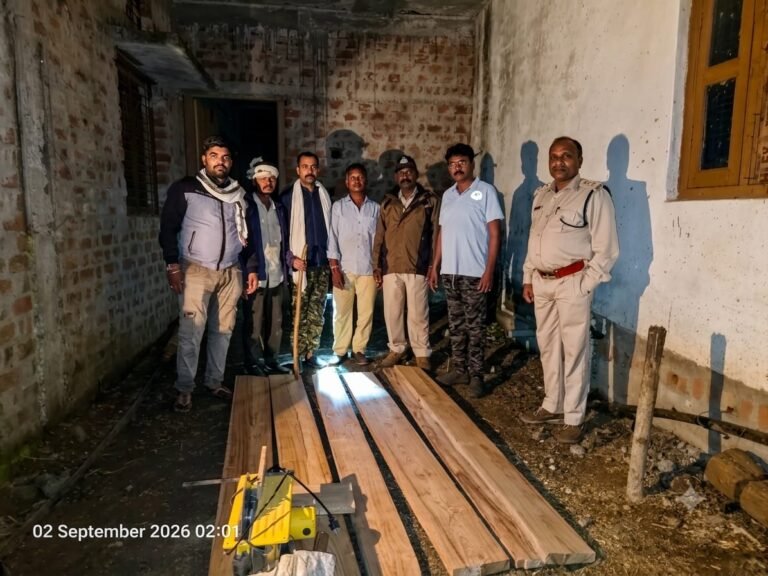 चिखली में वन विभाग की कार्रवाई, मकान से 7 नग सागौन लकड़ी जब्त अवैध लकड़ी के भंडारण एवं परिवहन पर वन विभाग का सर्च अभियान जारी