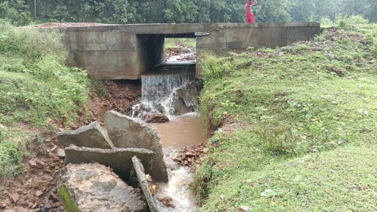 विजयपुर में तीन महीने में क्षतिग्रस्त हुआ पुल, निर्माण गुणवत्ता पर उठे सवाल 10 लाख रुपये की लागत से बने पुल की स्थिति को लेकर ग्रामीणों ने जांच की मांग की