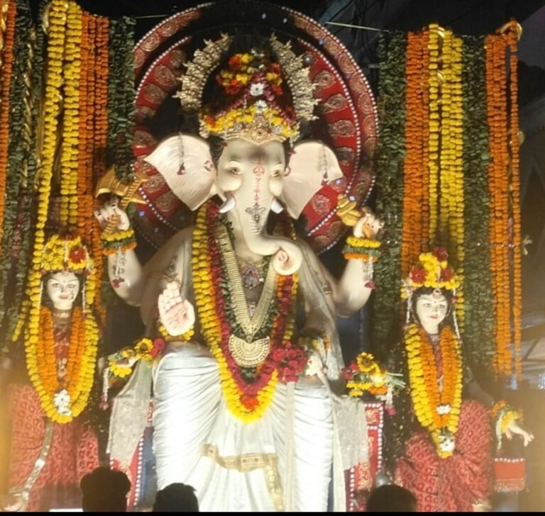 नम आंखों से बप्पा को विदाई, रातभर गूंजता रहा ‘गणपति बप्पा मोरया’ बैरसिया में उमड़ा आस्था और भक्ति का उल्लास, घुड़सवारों की धर्मध्वजा, आकर्षक झांकियां और अखाड़ों के करतब रहे प्रमुख आकर्षण