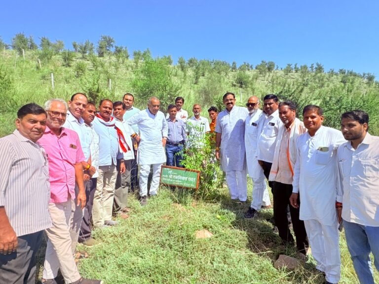 विजयपुर मंडल में सेवा संकल्प अभियान के तहत विशाल वृक्षारोपण पितृ पर्वत स्थित सिद्ध बाबा की पहाड़ी पर जनप्रतिनिधियों और बच्चों ने लगाए पौधे, पर्यावरण संरक्षण का लिया संकल्प