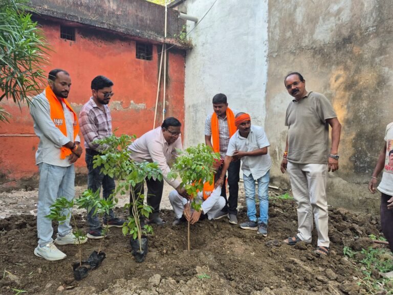 बलौदाबाजार में भाजपा नेताओं ने किया वृक्षारोपण, पर्यावरण संरक्षण का दिया संदेश
