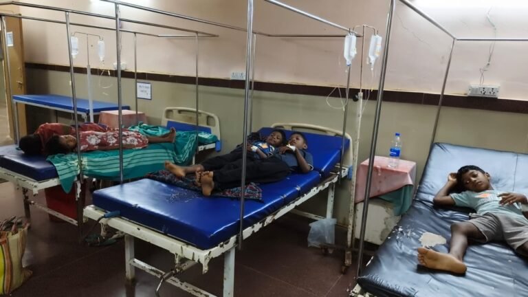 रतनजोत का फल खाने से छह बच्चे बीमार, पखांजूर अस्पताल में उपचार जारी मटोली शासकीय प्राथमिक शाला की घटना, चिकित्सकों की निगरानी में सभी बच्चों का इलाज जारी, हालत सामान्य