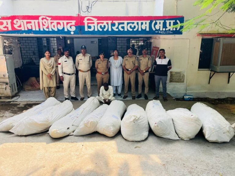 रतलाम में कपास और मक्का की फसल के बीच उगाए जा रहे गांजे के 880 पौधे जब्त
