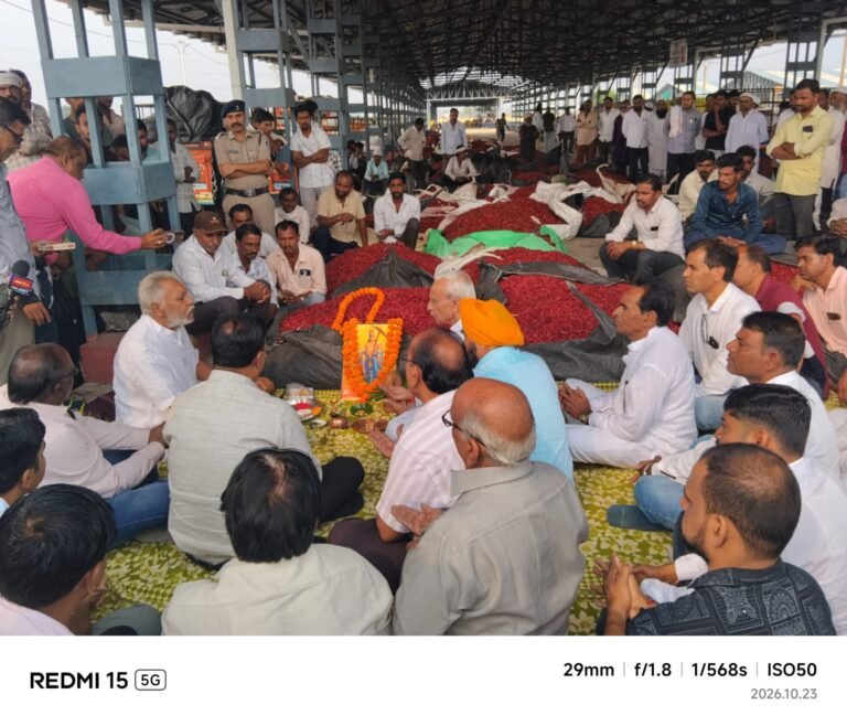 खरगोन की बलवाड़ी मंडी में लाल मिर्च नीलामी का शुभारंभ, पहले दिन 900 बोरी आवक, 18,111 रुपए प्रति क्विंटल रहा अधिकतम भाव